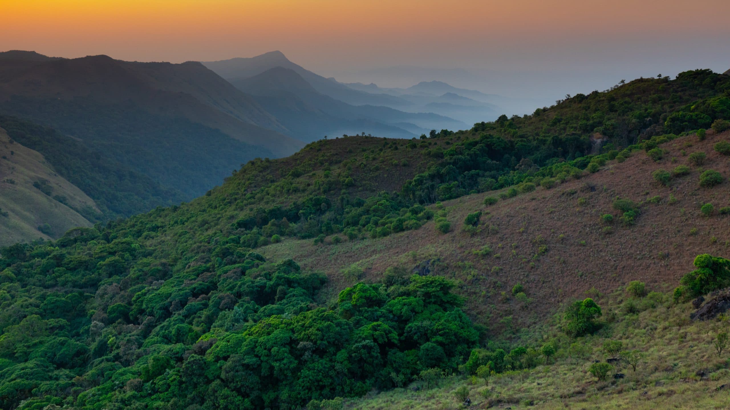 Coorg:The Land of Coffee, Clouds, and Calm
