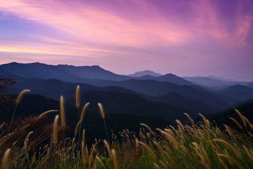 Sunrise Hill Climb & Panoramic View