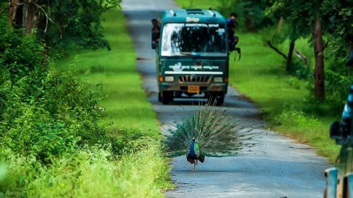 ಕರ್ನಾಟಕದ ಸುಂದರ ಪಕ್ಷಿಧಾಮಗಳನ್ನು ಅನುಭವಿಸಿ