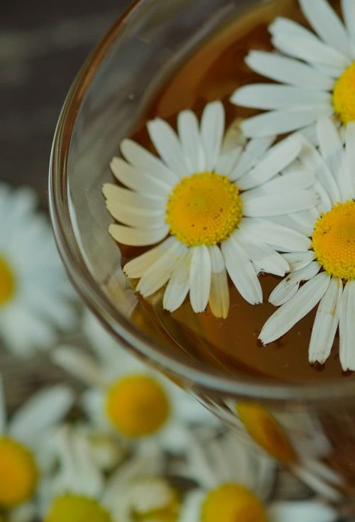 Heal in the Heartland