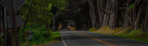 blog_image_Bengaluru to Goa Road Trip