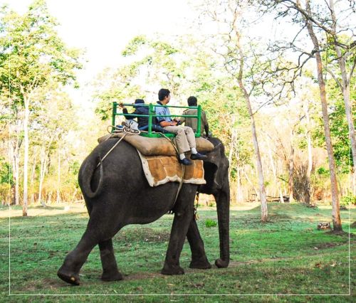 blog_image_Kids Friendly Destinations for Summer Vacation