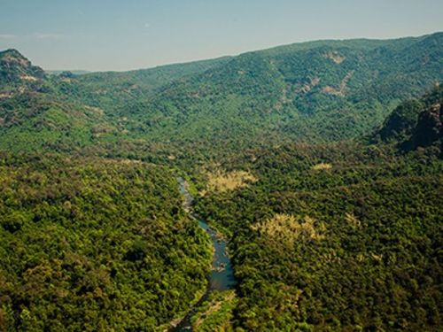 ಭೀಮ್‌ಗಡ ವನ್ಯಜೀವಿ ಅಭಯಾರಣ್ಯ