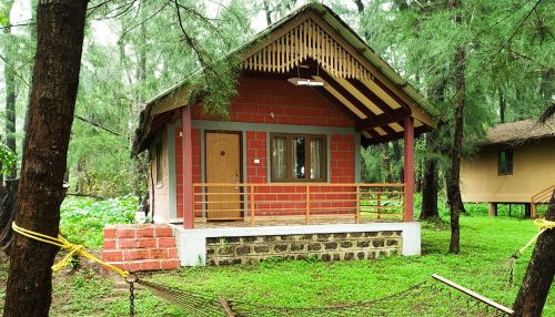 My Experience At River Tern Lodge By Jungle Lodges & Resorts