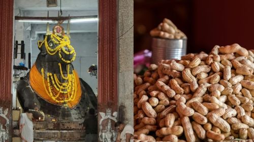 blog_image_Kadalekayi Parishe 2025: Celebrating Bengaluru’s 500 -Year-Old Groundnut Tradition
