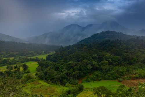 Coorg