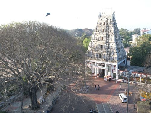 Bull Temple
