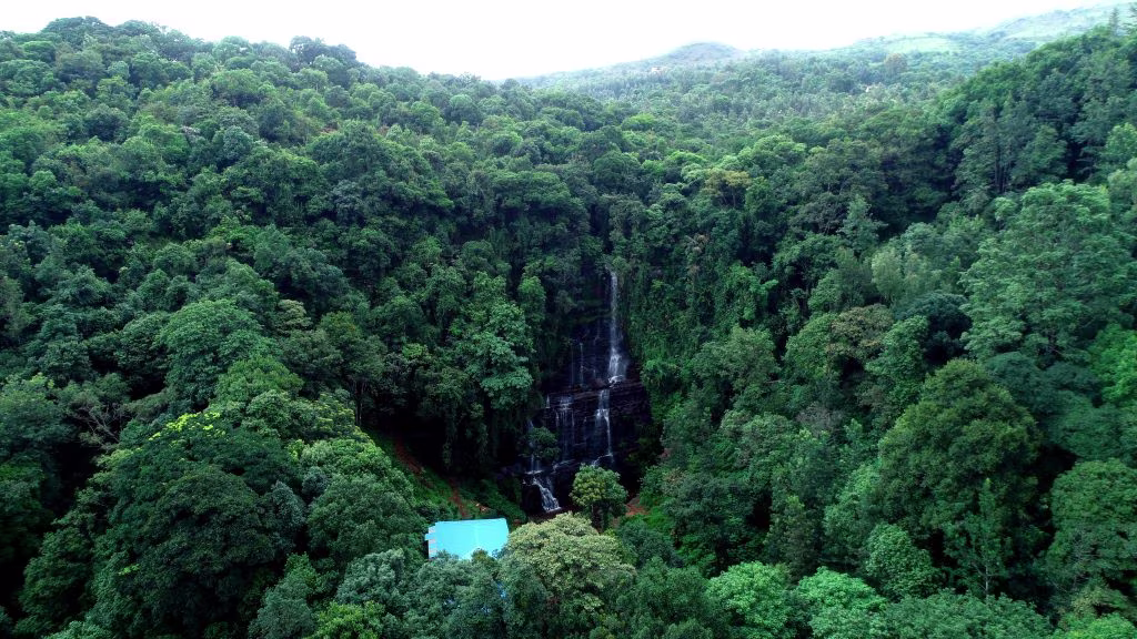Jhari Falls