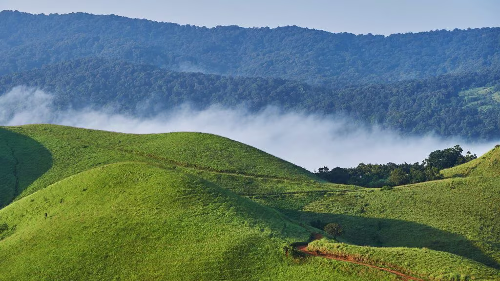 Kudremukh National Park