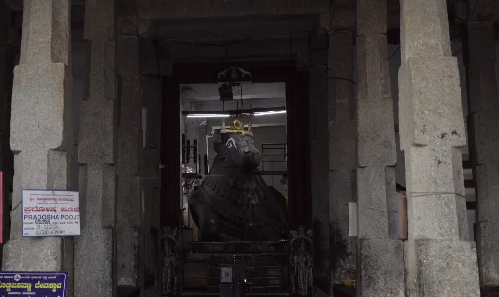 Bull temple 3