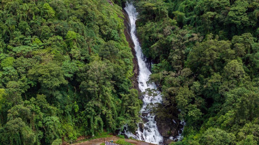 Iruppu falls, Coorg
