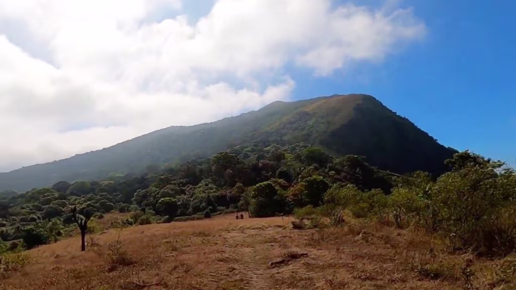 Nishani-Motte-Coorg-HD