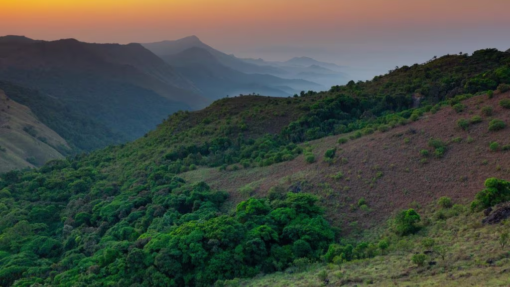 TADIANDMOL-TREK, Coorg