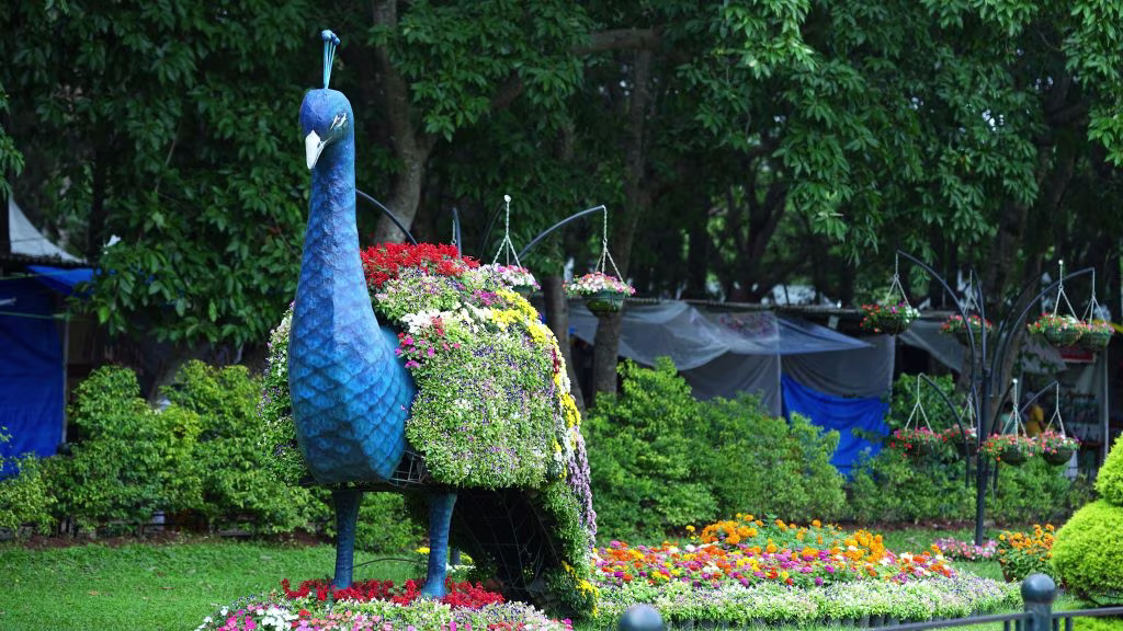 lalbagh flower show 1