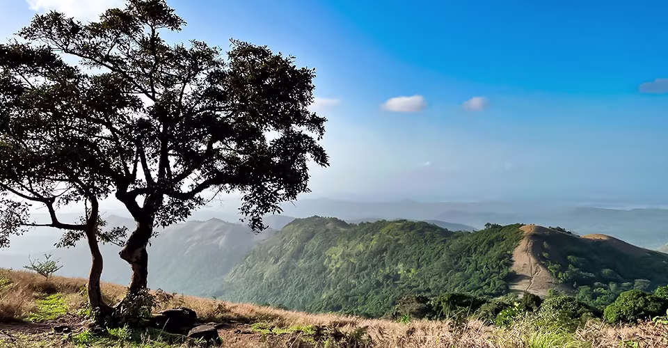 Kodachadri_hills_viewpoint