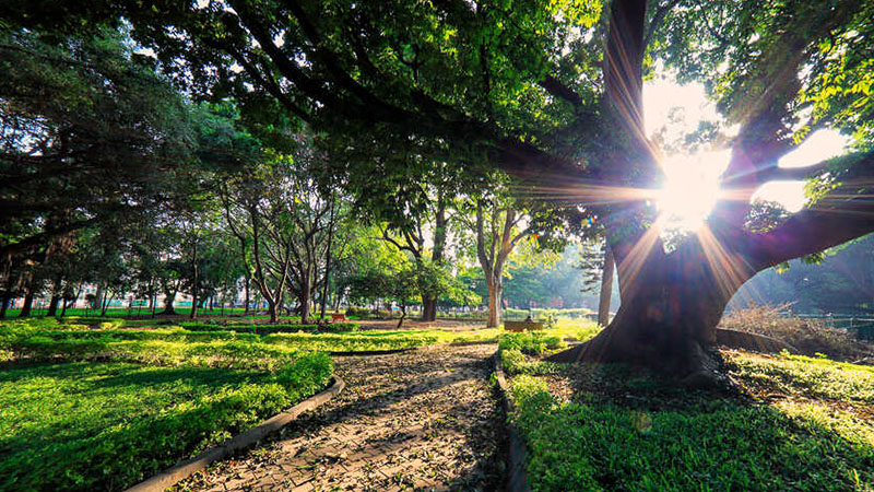 Cubbon Park Bangalore