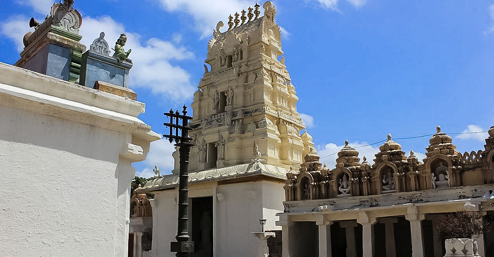 Narasimha Swamy Temple, Seebi 