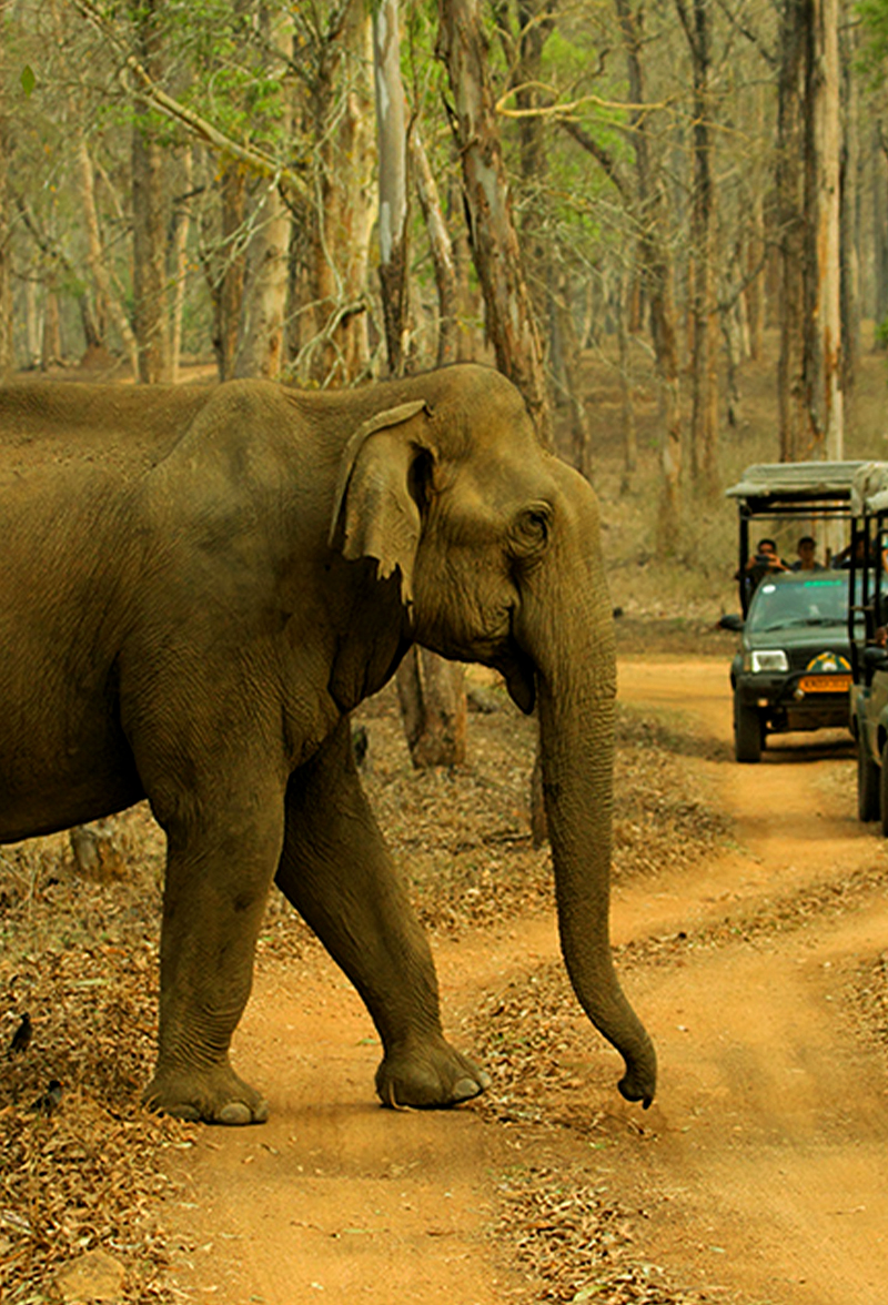 kabini backwaters tour packages