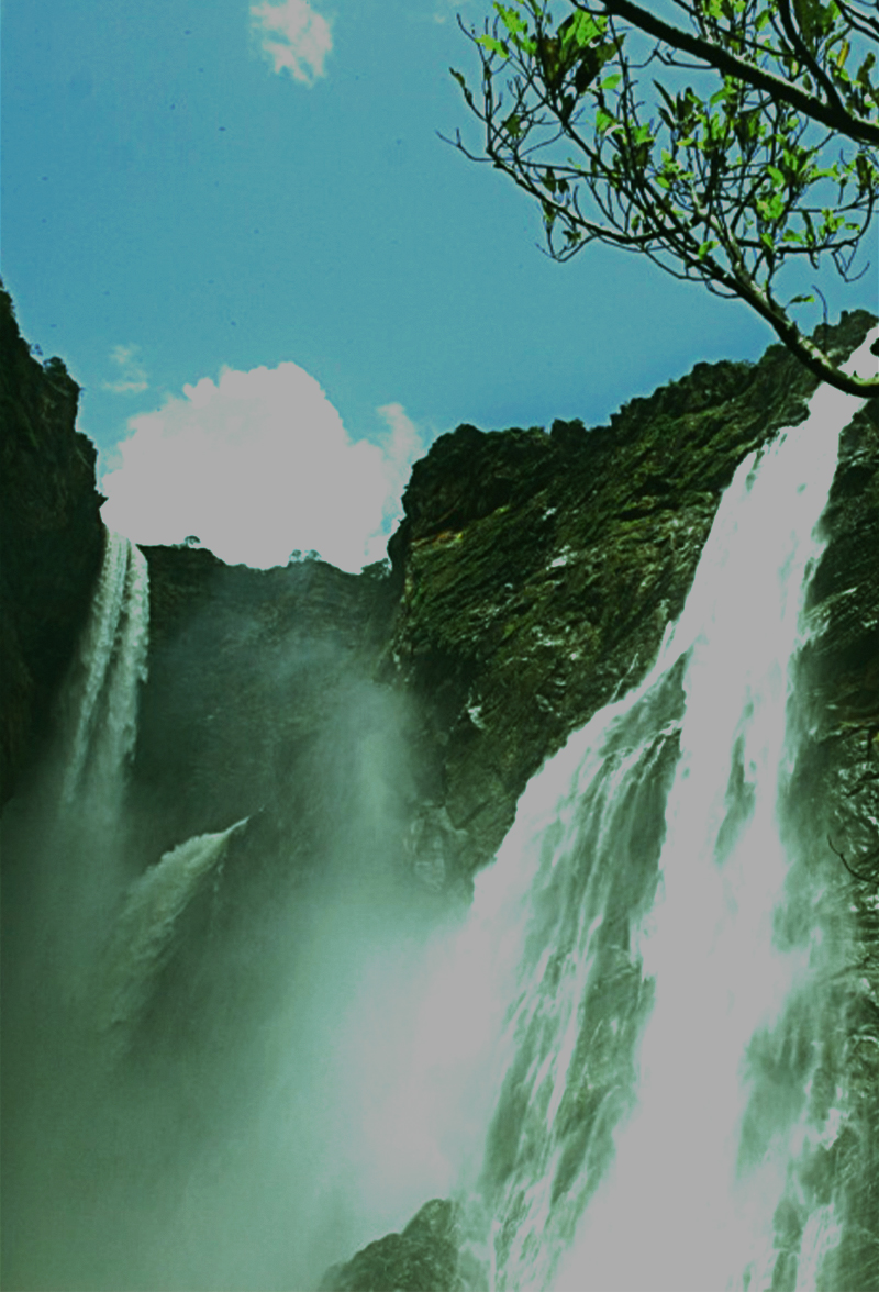 Jog falls