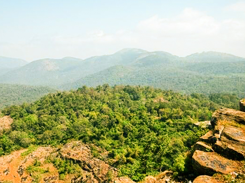 BR Hills Karnataka