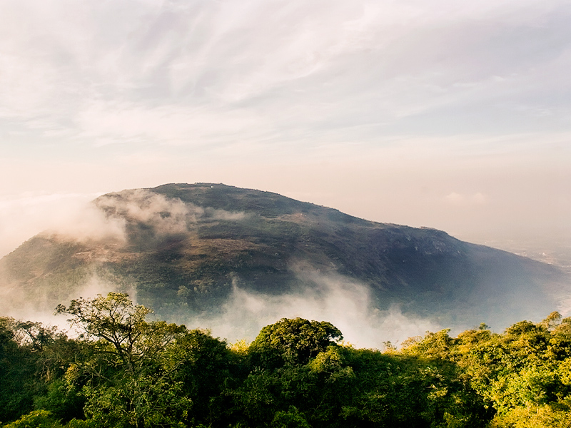 Nandi Hills