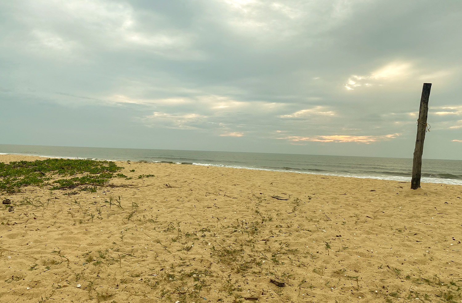 Tannirbhavi Beach in Mangalore
