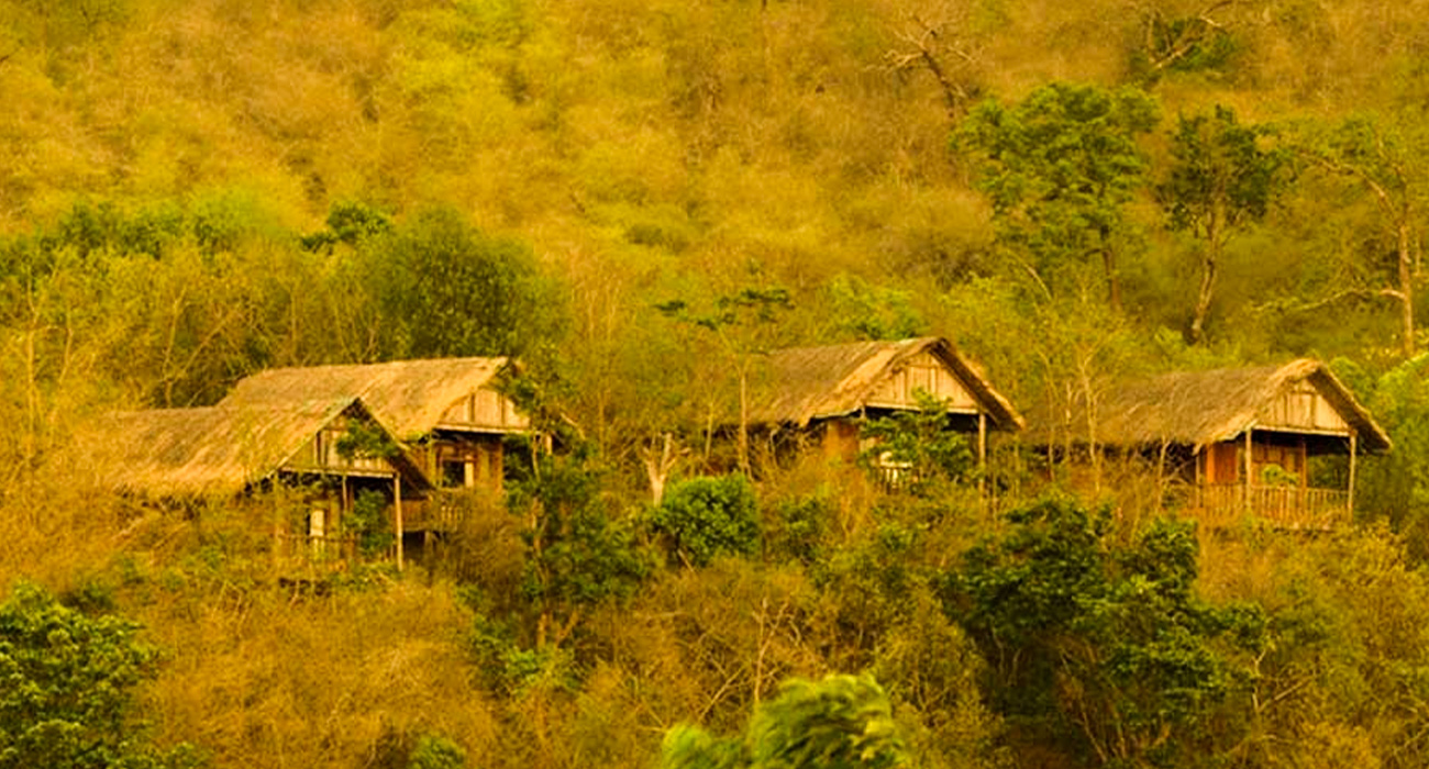 Jungle Lodges and Resorts