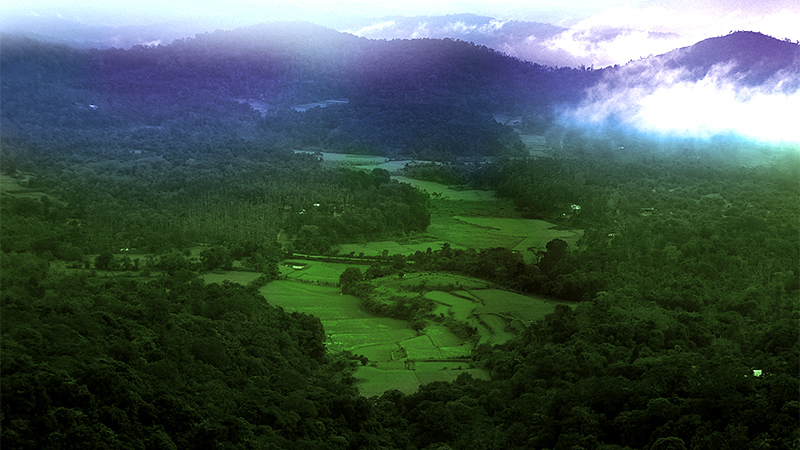 Coorg