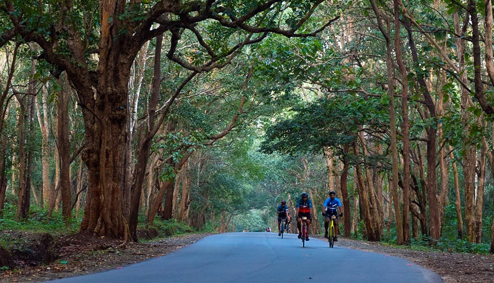 Cycle tour in Chikmagalur