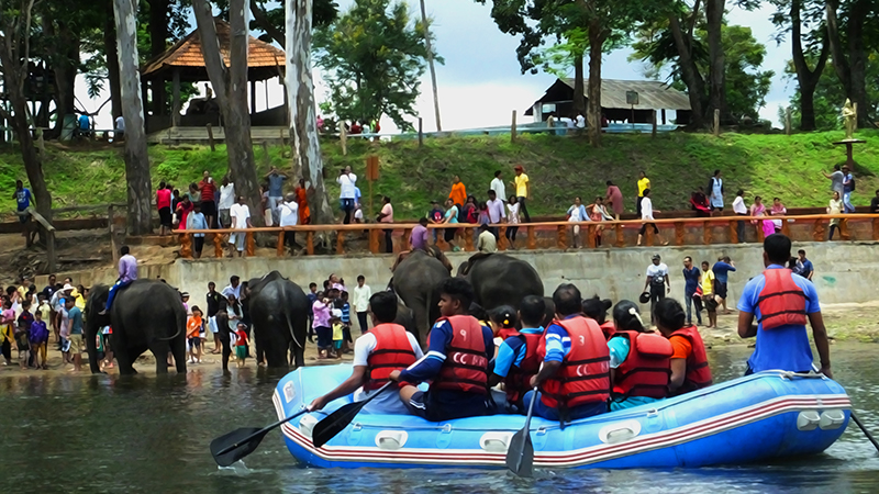 Dubare Elephant Camp